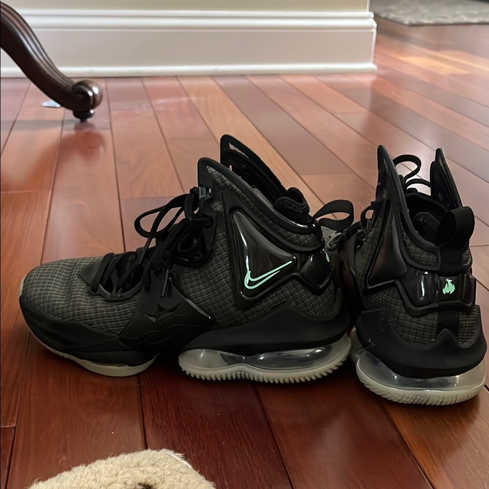 LeBron 19 kids size 4